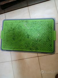 posa erba finta per pipì cane