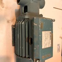 Pompa ad ingranaggi per olio calpeda