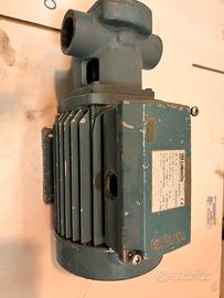 Pompa ad ingranaggi per olio calpeda