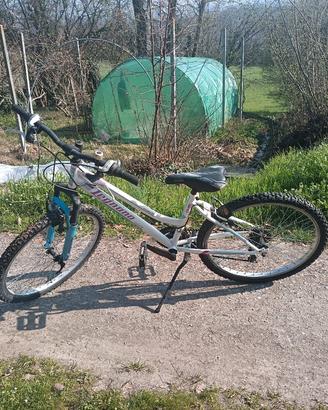 bicicletta