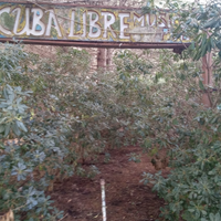 Terreno agricolo fronte mare 200m