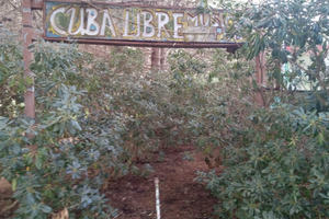 Terreno agricolo fronte mare 200m