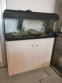 acquario con mobile 