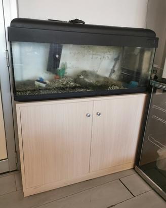 acquario con mobile 