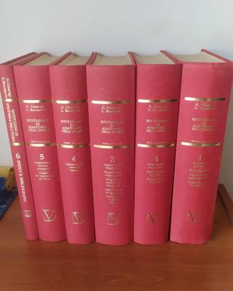 Trattato di anatomia umana Chiarugi-Bucciante