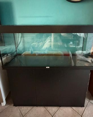 Acquario Juwel Rio 240