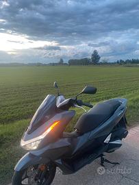 Honda pcx 125 2025