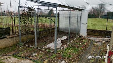 gabbia per cani