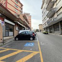 ATTIVITÀ A FROSINONE