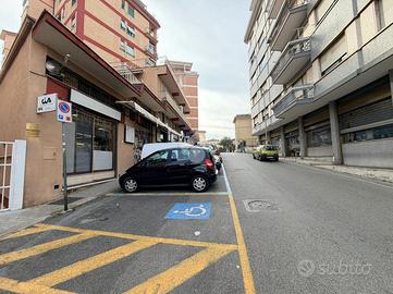 ATTIVITÀ A FROSINONE