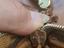 Immagine 3