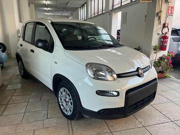 FIAT Panda City Life 1.0 FireFly S&S Hybrid 70c