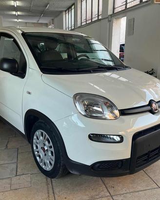 FIAT Panda City Life 1.0 FireFly S&S Hybrid 70c
