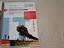 Immagine 5