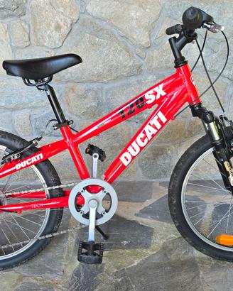 Bicicletta da Bambino