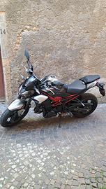 kawasaki z900 anno 2025 