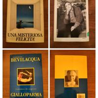 Libri di Alberto Bevilacqua 