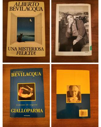 Libri di Alberto Bevilacqua 