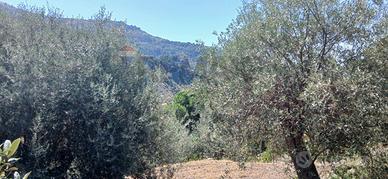 Terreno - Graniti