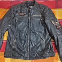 Giacca pelle Harley-Davidson 
