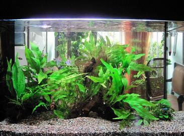 Acquario 120 litri , vuoto