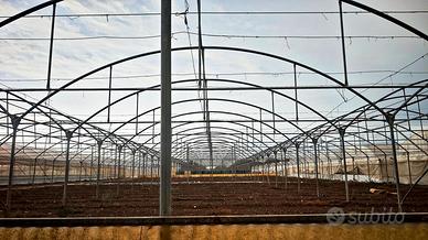 Serre agricole multitunnel
