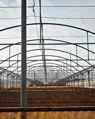 Serre agricole multitunnel
