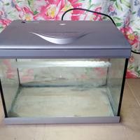 Vasca aquario 15 litri