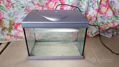 Vasca aquario 15 litri