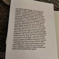 libro romanzo