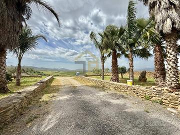 Terreno Agricolo - Partinico