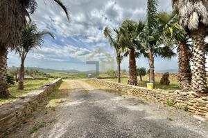 Terreno Agricolo - Partinico