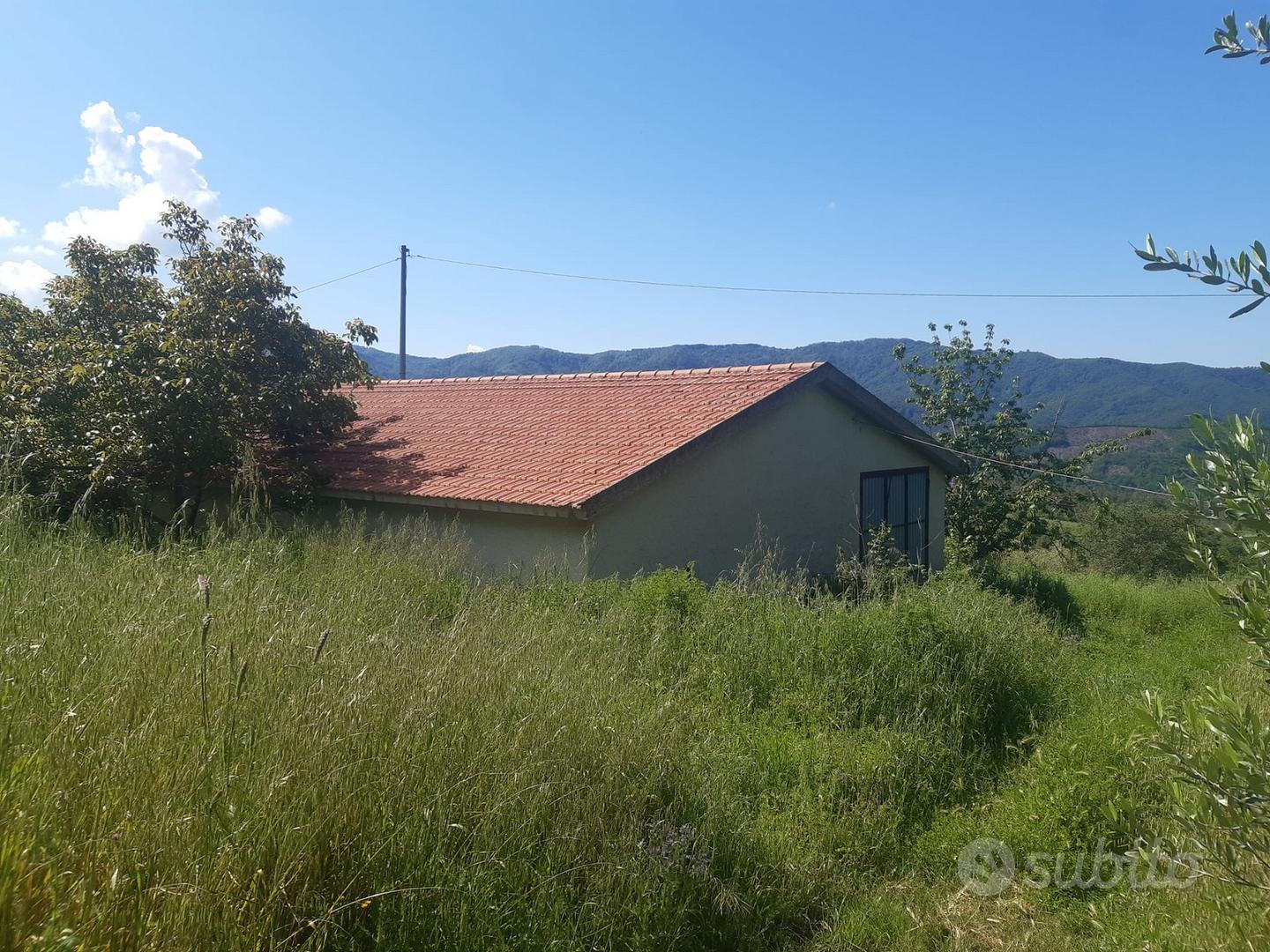 Fabbricato rurale e vigneto uliveto - Vista 3