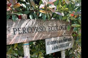 Terreno agricolo