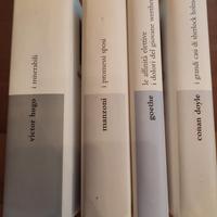 ULTIMI 2 Libri collezione i grandi dell'800