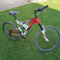 Bicicletta uomo Mountain bike Stella Veneta