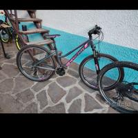  Mtb donna