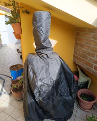 Forno e barbecue