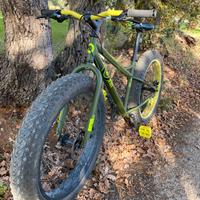 Bici uomo fat bike