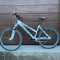 Bici mtb Bottecchia (taglia 43)