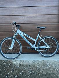 Bici mtb Bottecchia (taglia 43)