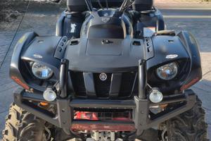 Yamaha grizzly 660 limited edition