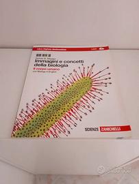 Immagini e concetti della biologia Il corpo umano
