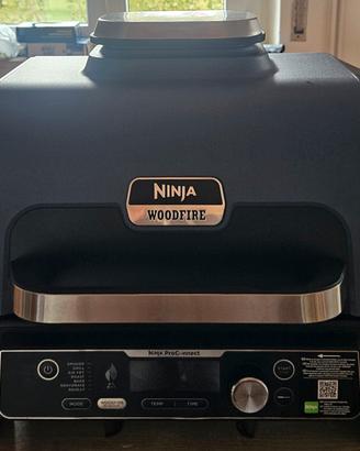 ninja proconnect woodfire xl