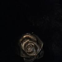 Pelliccetta donna