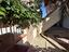 Immagine 20