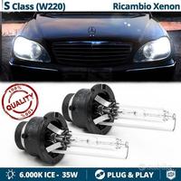 Lampadine BI-Xenon D2S per Mercedes classe S W220