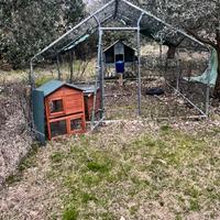 box  per avicoli con rete