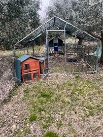 box  per avicoli con rete