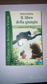 Libri in omaggio (1)